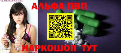 jwh Кингисепп
