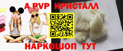 jwh Кингисепп